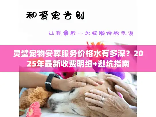 灵璧宠物安葬服务价格水有多深？2025年最新收费明细+避坑指南