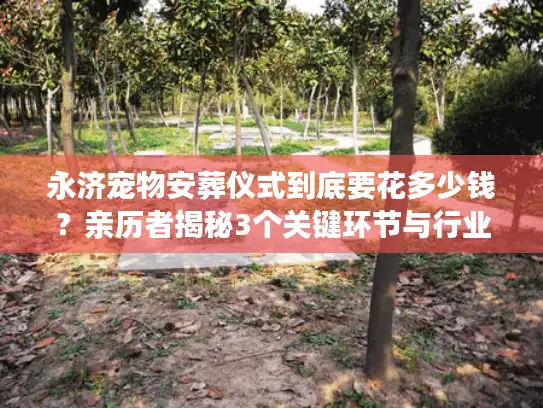 永济宠物安葬仪式到底要花多少钱？亲历者揭秘3个关键环节与行业隐情
