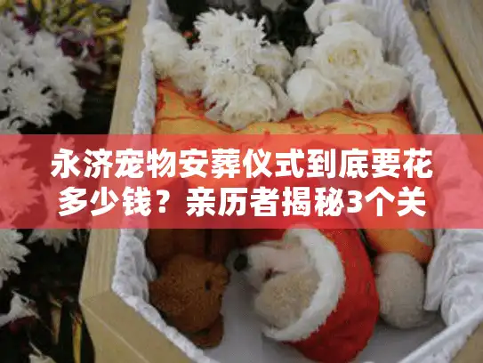 永济宠物安葬仪式到底要花多少钱？亲历者揭秘3个关键环节与行业隐情