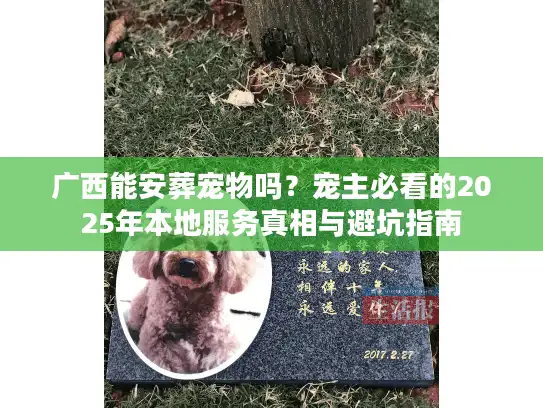 广西能安葬宠物吗？宠主必看的2025年本地服务真相与避坑指南