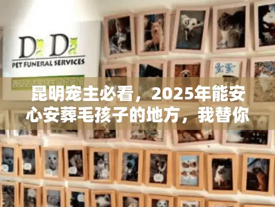 昆明宠主必看，2025年能安心安葬毛孩子的地方，我替你踩过坑了