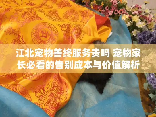 江北宠物善终服务贵吗 宠物家长必看的告别成本与价值解析