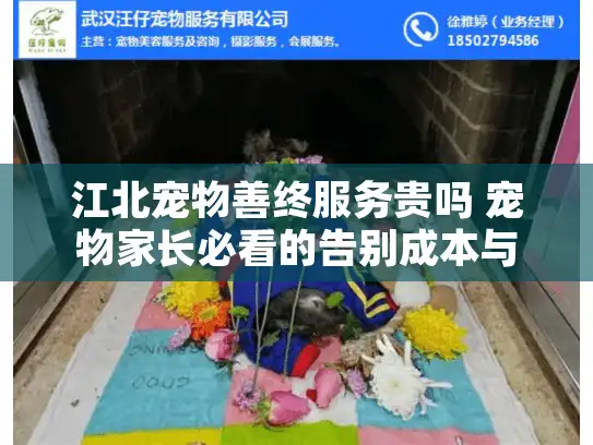 江北宠物善终服务贵吗 宠物家长必看的告别成本与价值解析