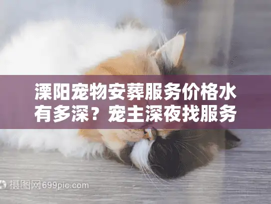 溧阳宠物安葬服务价格水有多深？宠主深夜找服务踩坑后，帮你算清每笔合理账