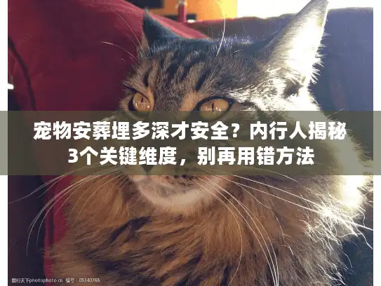 宠物安葬埋多深才安全？内行人揭秘3个关键维度，别再用错方法
