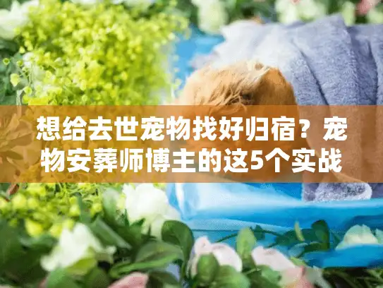 想给去世宠物找好归宿？宠物安葬师博主的这5个实战经验，比搜10家机构有用