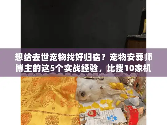 想给去世宠物找好归宿？宠物安葬师博主的这5个实战经验，比搜10家机构有用