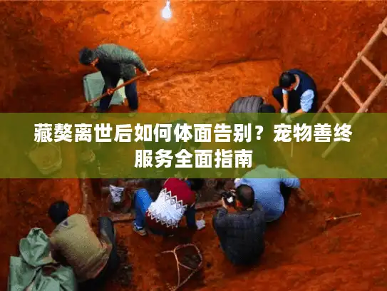 藏獒离世后如何体面告别？宠物善终服务全面指南