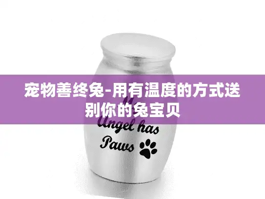 宠物善终兔-用有温度的方式送别你的兔宝贝