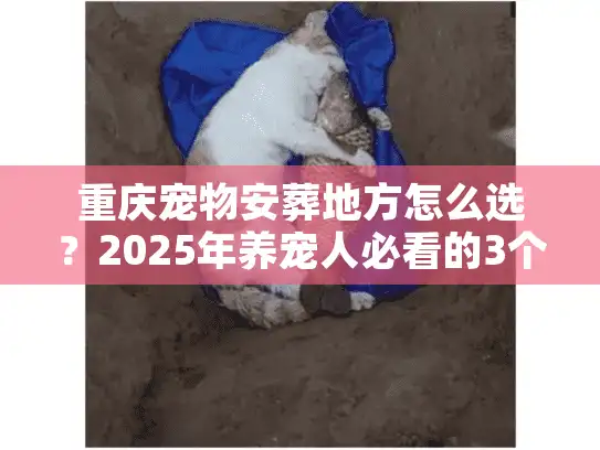 重庆宠物安葬地方怎么选？2025年养宠人必看的3个避坑真相+1个实战案例