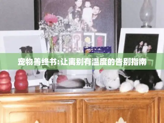 宠物善终书:让离别有温度的告别指南