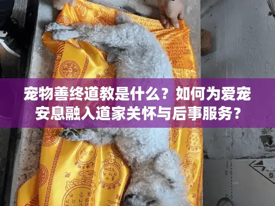 宠物善终道教是什么？如何为爱宠安息融入道家关怀与后事服务？