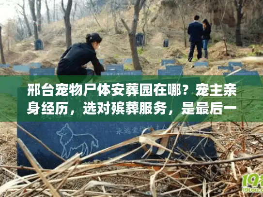 邢台宠物尸体安葬园在哪？宠主亲身经历，选对殡葬服务，是最后一次好好说再见