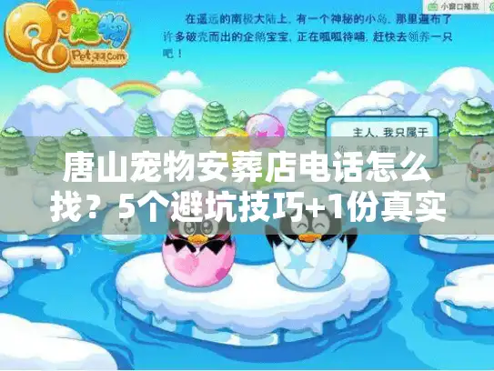 唐山宠物安葬店电话怎么找？5个避坑技巧+1份真实案例帮你少走弯路