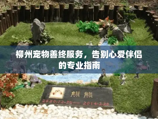 柳州宠物善终服务，告别心爱伴侣的专业指南