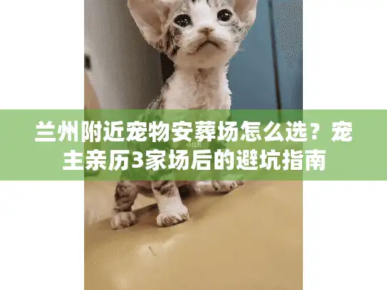 兰州附近宠物安葬场怎么选？宠主亲历3家场后的避坑指南