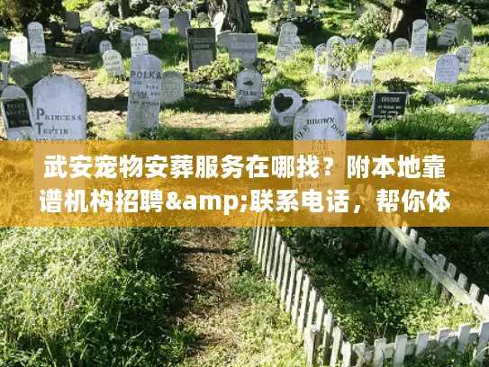 武安宠物安葬服务在哪找？附本地靠谱机构招聘&联系电话，帮你体面送毛孩最后一程