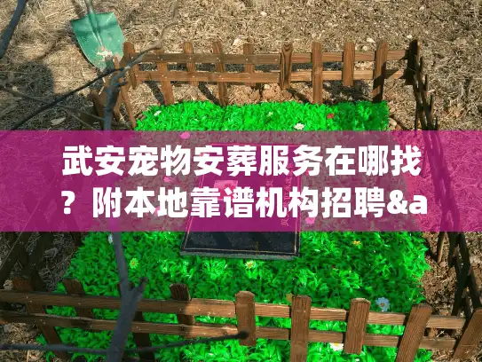 武安宠物安葬服务在哪找？附本地靠谱机构招聘&联系电话，帮你体面送毛孩最后一程