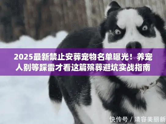 2025最新禁止安葬宠物名单曝光！养宠人别等踩雷才看这篇殡葬避坑实战指南