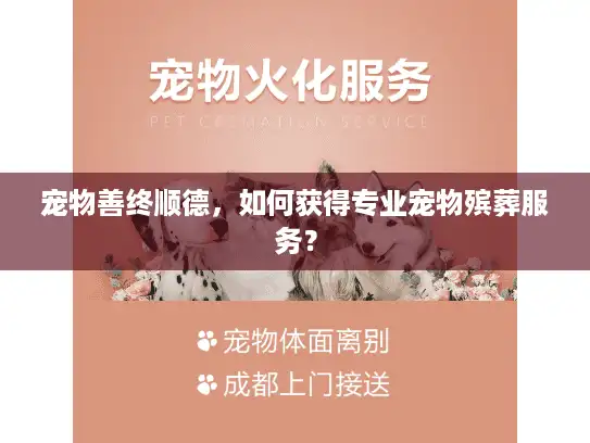 宠物善终顺德，如何获得专业宠物殡葬服务？