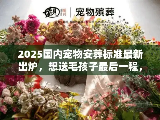 2025国内宠物安葬标准最新出炉，想送毛孩子最后一程，这些红线你必须避开？