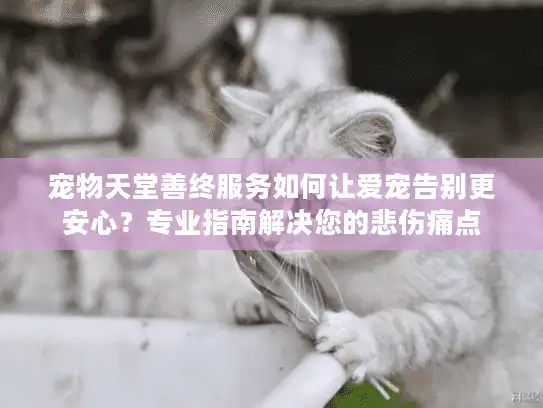 宠物天堂善终服务如何让爱宠告别更安心？专业指南解决您的悲伤痛点