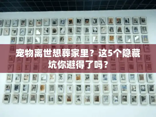 宠物离世想葬家里？这5个隐藏坑你避得了吗？