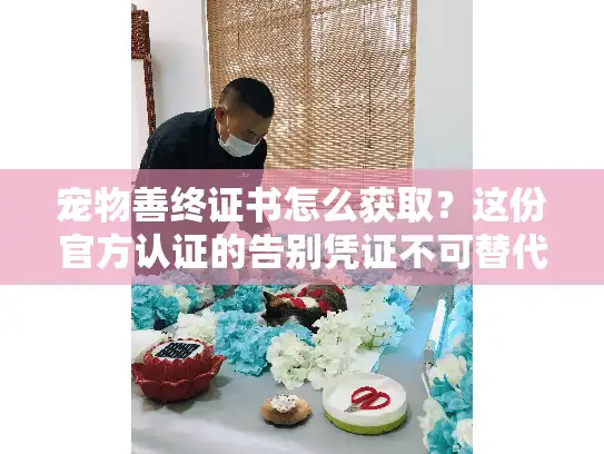 宠物善终证书怎么获取？这份官方认证的告别凭证不可替代