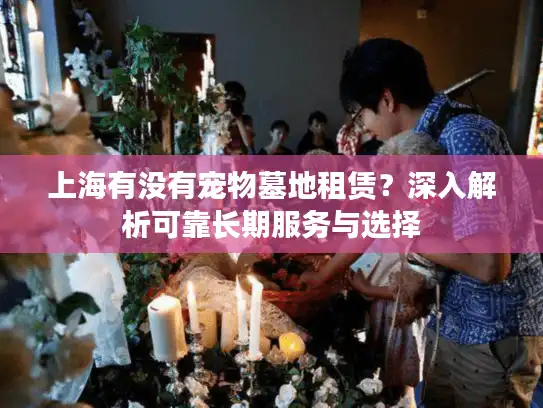 上海有没有宠物墓地租赁？深入解析可靠长期服务与选择