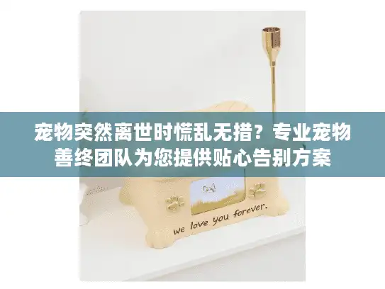 宠物突然离世时慌乱无措？专业宠物善终团队为您提供贴心告别方案