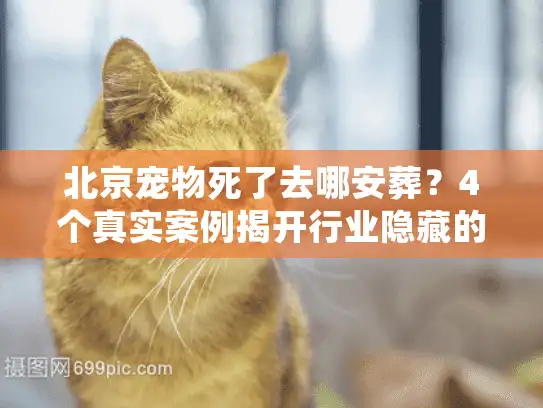 北京宠物死了去哪安葬？4个真实案例揭开行业隐藏的「安心密码」