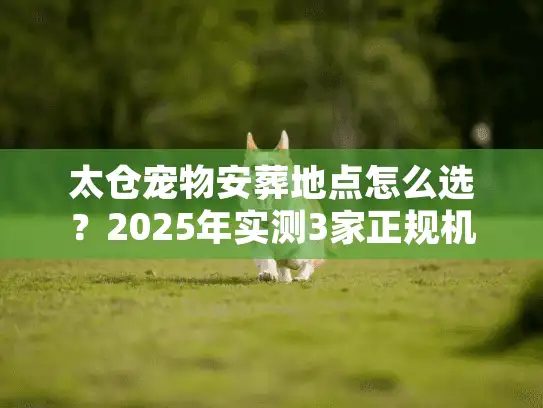 太仓宠物安葬地点怎么选？2025年实测3家正规机构，避开这4个致命坑