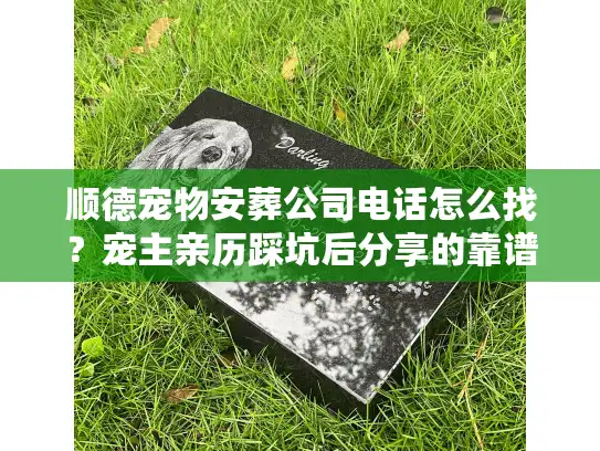 顺德宠物安葬公司电话怎么找？宠主亲历踩坑后分享的靠谱渠道与避坑指南