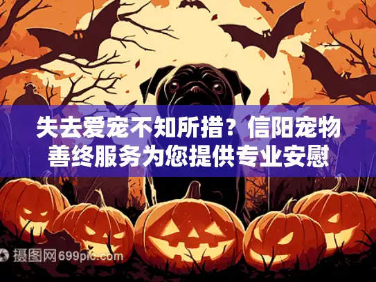 失去爱宠不知所措？信阳宠物善终服务为您提供专业安慰