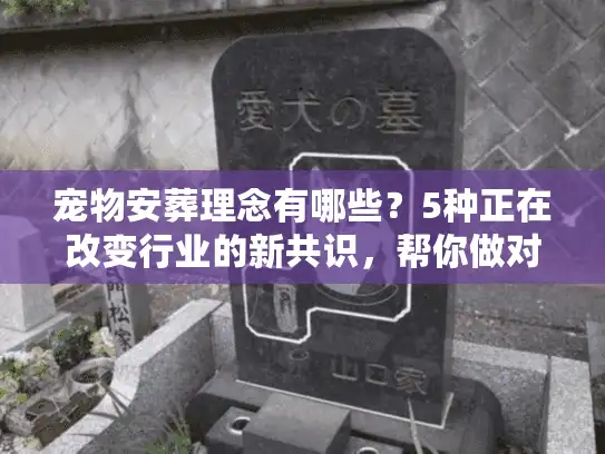 宠物安葬理念有哪些？5种正在改变行业的新共识，帮你做对最后一次选择