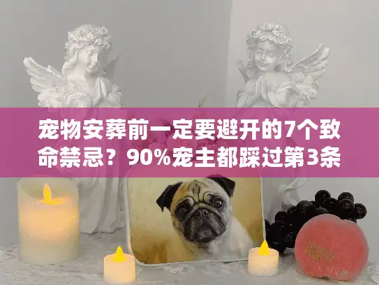 宠物安葬前一定要避开的7个致命禁忌？90%宠主都踩过第3条