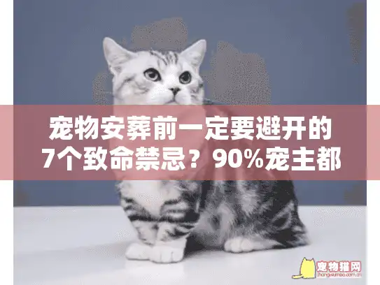 宠物安葬前一定要避开的7个致命禁忌？90%宠主都踩过第3条
