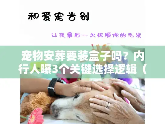 宠物安葬要装盒子吗？内行人曝3个关键选择逻辑（2025年最新）