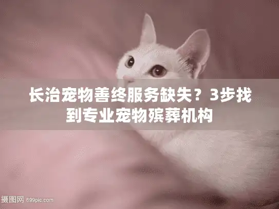 长治宠物善终服务缺失？3步找到专业宠物殡葬机构