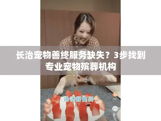 长治宠物善终服务缺失？3步找到专业宠物殡葬机构