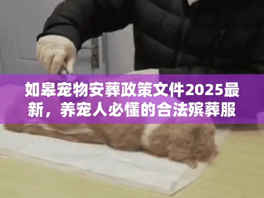 如皋宠物安葬政策文件2025最新，养宠人必懂的合法殡葬服务红线与实战路径