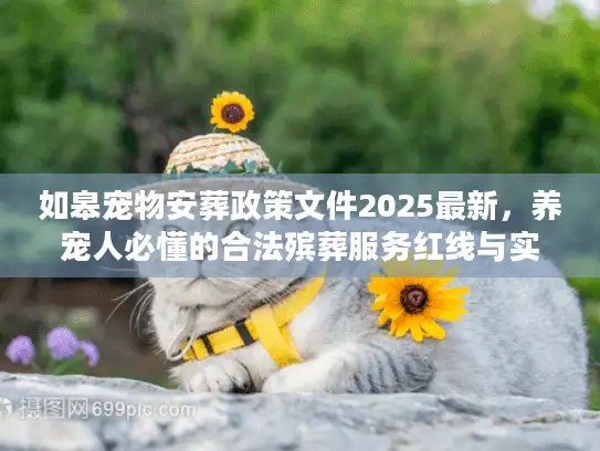 如皋宠物安葬政策文件2025最新，养宠人必懂的合法殡葬服务红线与实战路径