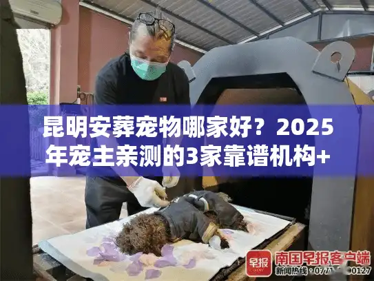 昆明安葬宠物哪家好？2025年宠主亲测的3家靠谱机构+避坑指南