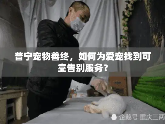 普宁宠物善终，如何为爱宠找到可靠告别服务？