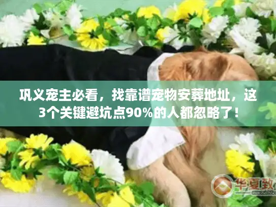 巩义宠主必看，找靠谱宠物安葬地址，这3个关键避坑点90%的人都忽略了！