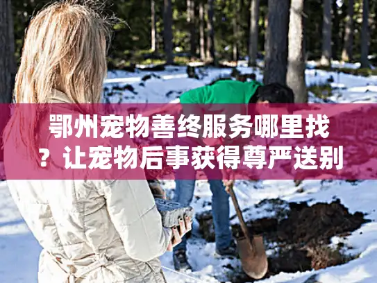 鄂州宠物善终服务哪里找？让宠物后事获得尊严送别的全指南