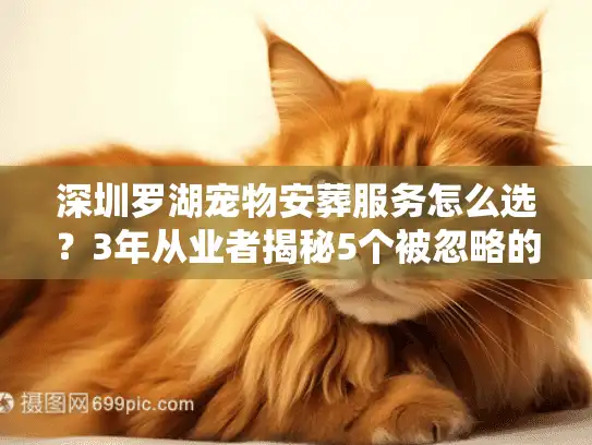深圳罗湖宠物安葬服务怎么选？3年从业者揭秘5个被忽略的关键
