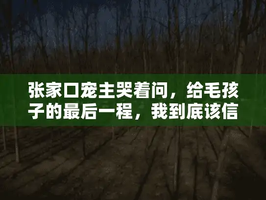张家口宠主哭着问，给毛孩子的最后一程，我到底该信谁？