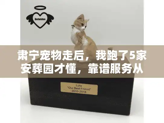 肃宁宠物走后，我跑了5家安葬园才懂，靠谱服务从来不是挖个坑那么简单