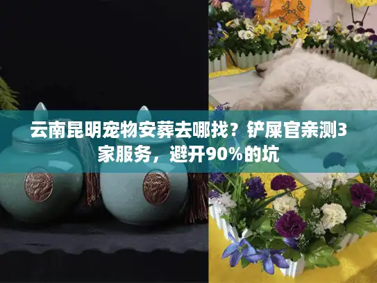 云南昆明宠物安葬去哪找？铲屎官亲测3家服务，避开90%的坑